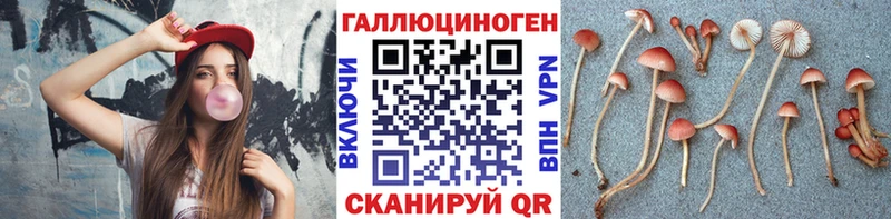 Галлюциногенные грибы Magic Shrooms  Талдом 