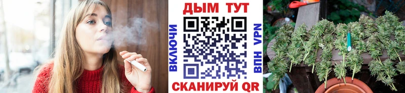 Каннабис Ganja  Талдом 